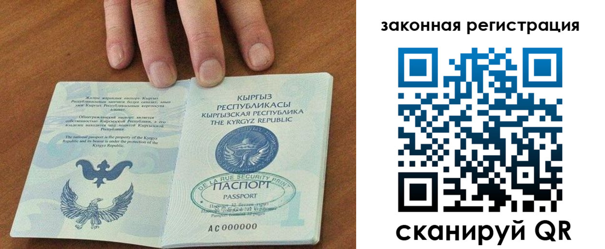 прописка гарантия в Михайловке